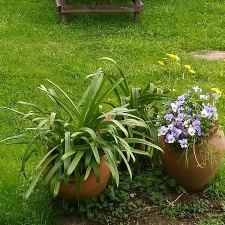 Casa Videira - Rural Cerca Del Mar *