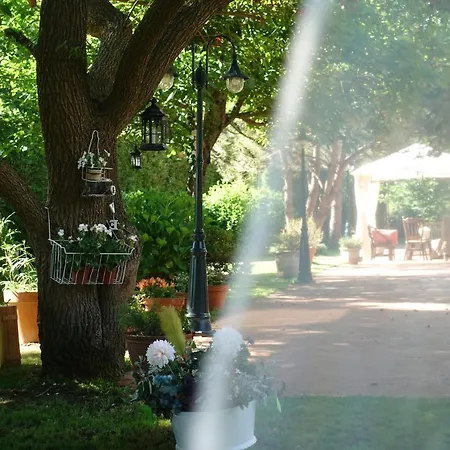 乡村民宿 Casa Videira - Rural Cerca Del Mar *