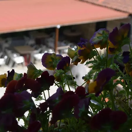 カントリーハウス Casa Videira - Rural Cerca Del Mar *
