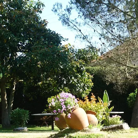 Casa Videira - Rural Cerca Del Mar *