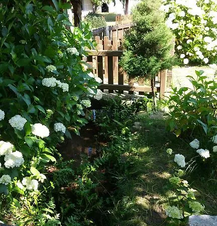 Casa Videira - Rural Cerca Del Mar * 布埃乌