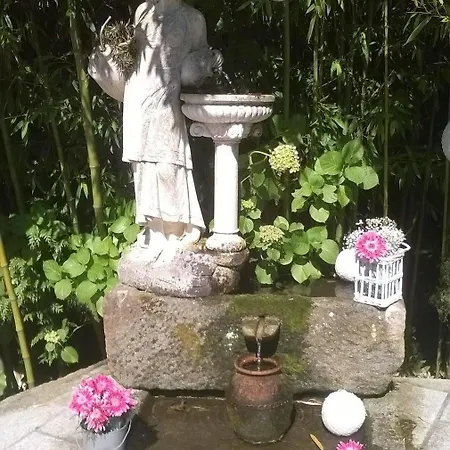 乡村民宿 Casa Videira - Rural Cerca Del Mar 布埃乌