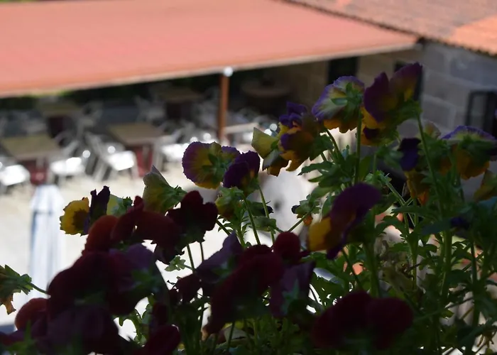 カントリーハウス Casa Videira - Rural Cerca Del Mar *