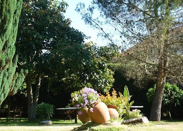Casa Videira - Rural Cerca Del Mar *